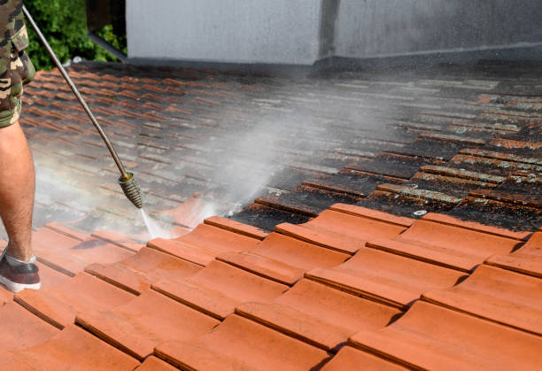  Pharr, TX Pressure Washing Pros