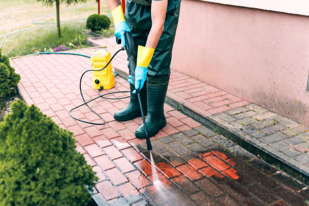 Best Roof Power Washing Services  in Pharr, TX