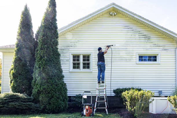 Best Sidewalk Pressure Washing  in Pharr, TX