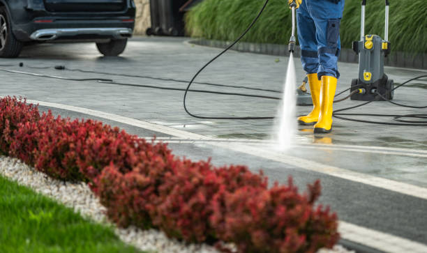 Best Best Pressure Washing Companies  in Pharr, TX