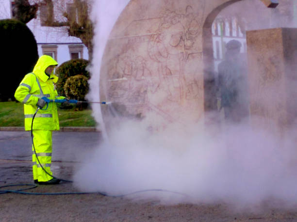 Best Pressure Washing Near Me  in Pharr, TX