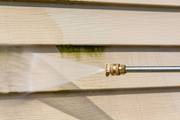 Best Deck Pressure Washing  in Pharr, TX