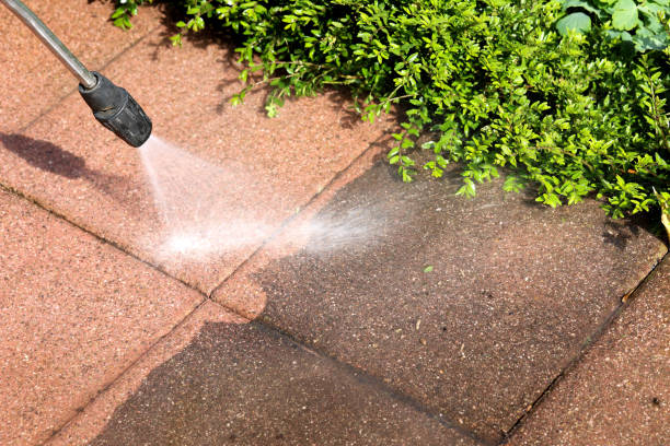 Best Pressure Washing Services Near Me  in Pharr, TX